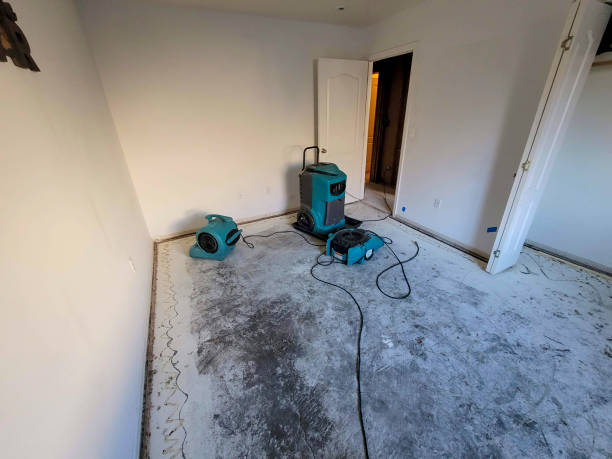 Best Mold removal after water damage  in Second Mesa, AZ